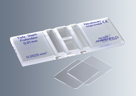 CAMARA NEUBAUER LINEA BRILLANTE